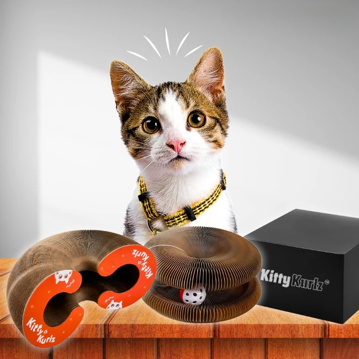 Catventure Toy