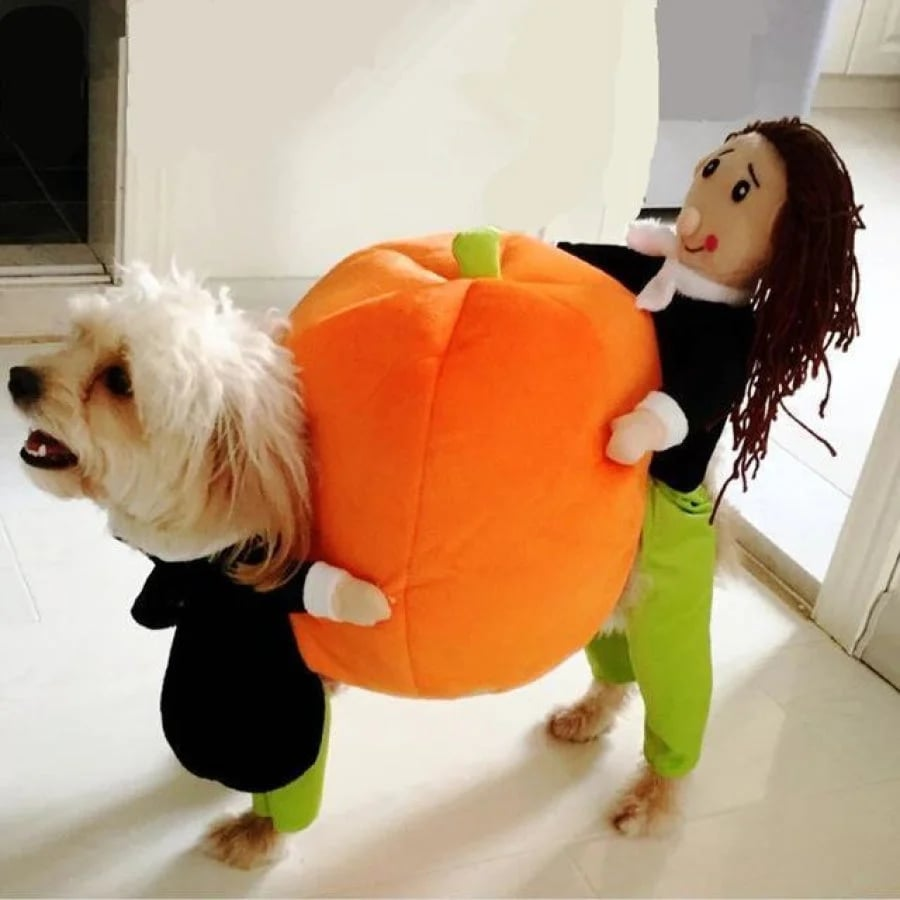 Hund Gresskar Halloween-kostyme – Morsomt og Behagelig Antrekk for Små, Middels og Store Hunder