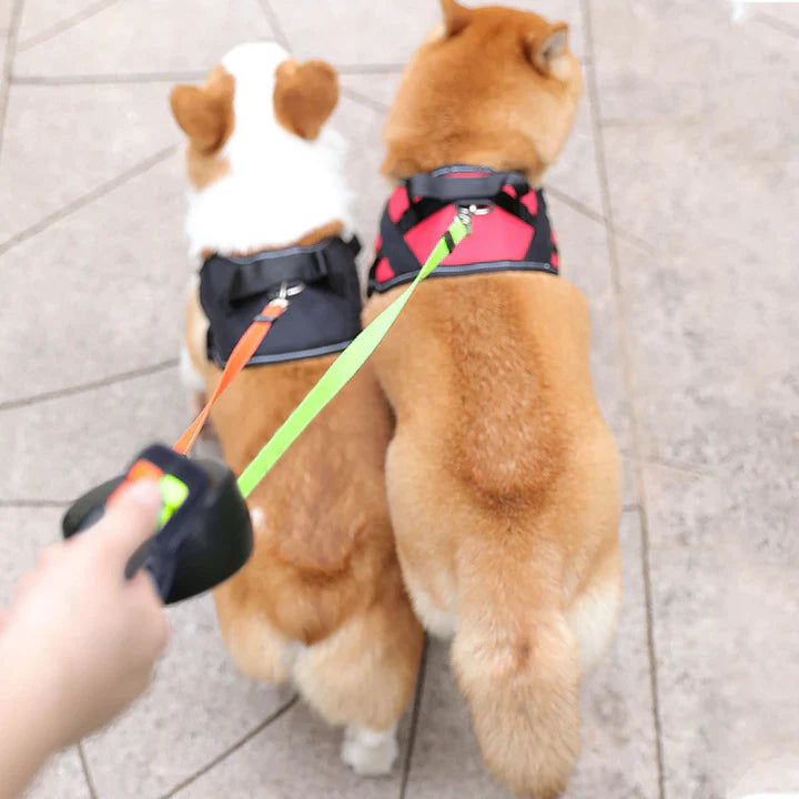 DualWoofer™ uttrekkbar hundebånd – Enhåndskontroll l Glatt kontroll | inkl. Lommelykt + Hundeposeholder